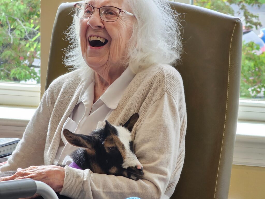 Memory Lane Laughter